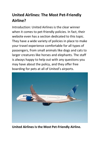 United Airlines pet policy