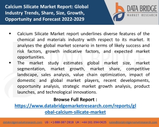 Calcium Silicate Market