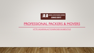 Professional Packers & Movers