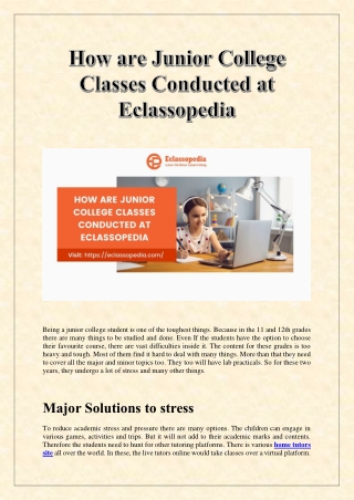 How are Junior College classes conducted at Eclassopedia