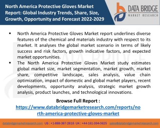 North America Protective Gloves Market Grow at a Significant CAGR 7.3%