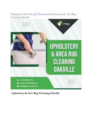 Mopping Is Not Enough Professional Upholstery