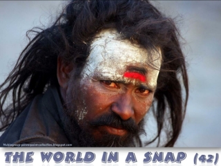 The World in a SNAP (42)