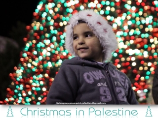 Christmas in PALESTINE - 2012