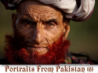 Portraits from Pakistan (6)