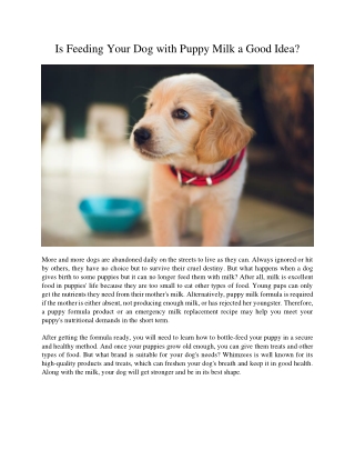 Is Feeding Your Dog with Puppy Milk a Good Idea