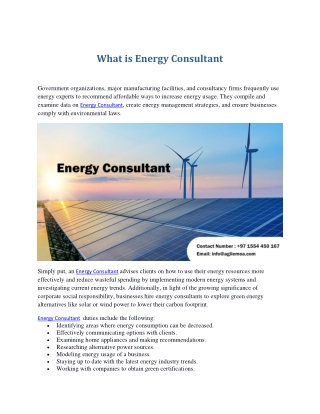 What is Energy Consultant