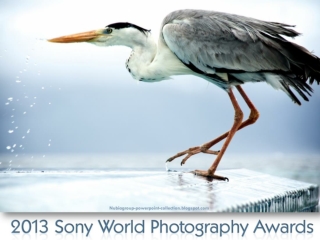 Sony World Photography Awards 2013