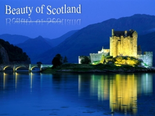 Beauty of Scotland