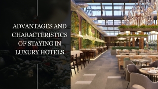 Benefits & Features of a Stayable Luxury Hotel Room