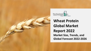 Wheat Protein Market - Growth, Strategy Analysis, And Forecast 2031