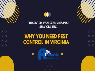 Why You Need Pest Control in Virginia