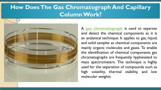 How Does The Gas Chromatograph And Capillary Column Work