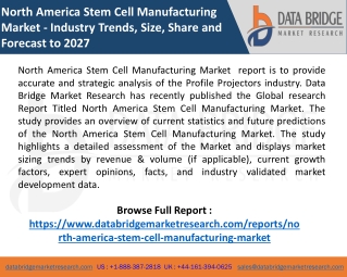 North America Stem Cell Manufacturing Market expected to reach USD 23,505.08 mil