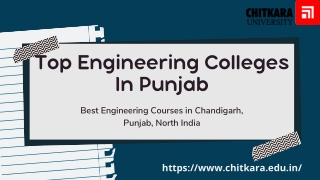 Top Engineering Colleges In Punjab