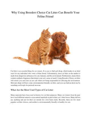 Why Using Breeders Choice Cat Litter Can Benefit Your Feline Friend