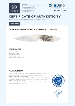 scrimshaw knife