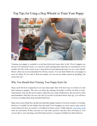 Top Tips for Using a Dog Whistle to Train Your Puppy