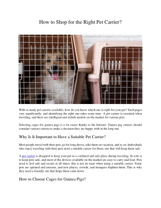How to Shop for the Right Pet Carrier
