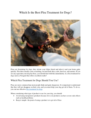 Which Is the Best Flea Treatment for Dogs