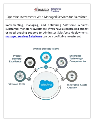 Salesforce Managed Services Provider