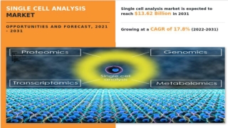 What is Single Cell Analysis?