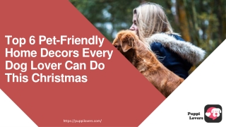 Top 6 Pet-Friendly Home Decors Every Dog Lover Can Do This Christmas