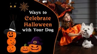 5 Ways to Celebrate Halloween with Your Dog