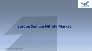 Europe Sodium Nitrate Market Trends Analysis and Industry Forecast 2027