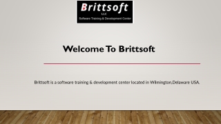 Best Python course online USA At Brittsoft