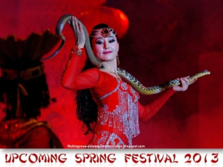 Upcoming Spring Festival 2013 (Chinese New year)