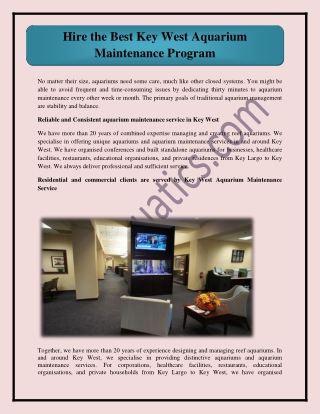 Hire the Best Team for Key West Aquarium Maintenance Program