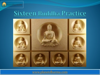 Sixteen Buddha Body Practice Meditation Retreat  Planet Dharma