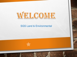 Specialist in Garden Waste Clearance in Elderslie