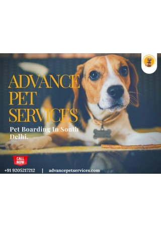 Advance pet services-dog trainer in South Delhi