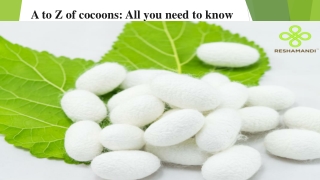 A to Z of cocoons All you need to know ReshaMandi