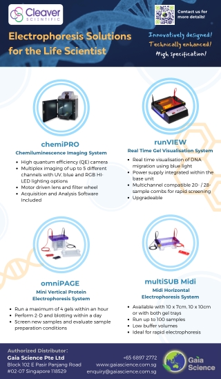 Scientific Electrophoresis Equipment Manufacturer