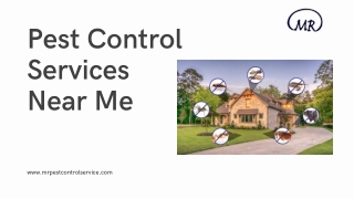 Pest Control Services Near Me