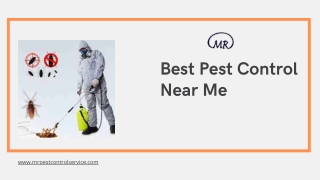 Best Pest Control Near Me