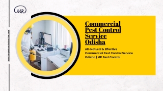 Commercial Pest Control Service Odisha