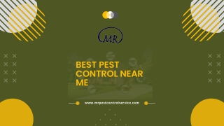 Best Pest Control Near Me