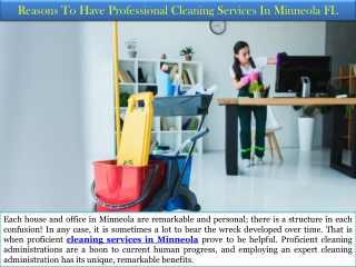 Reasons To Have Professional Cleaning Services In Minneola FL