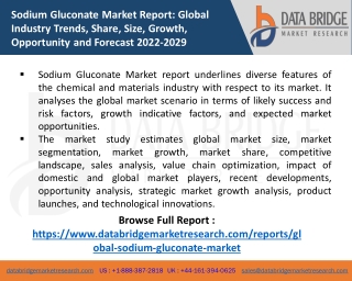 Sodium Gluconate Market