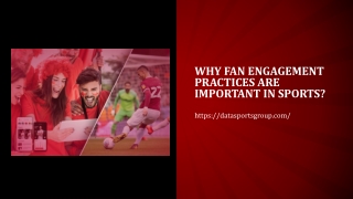 Why fan engagement practices are important in sports