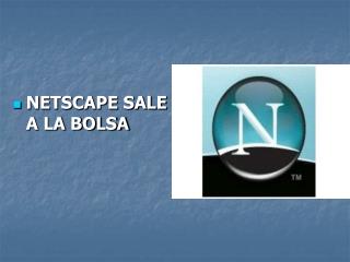 NETSCAPE SALE A LA BOLSA