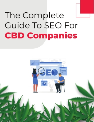 The Complete Guide To SEO For CBD Companies