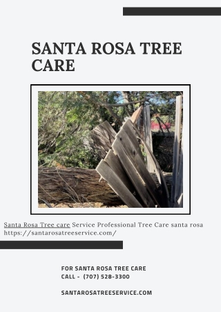 Santa Rosa Tree Care