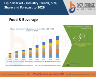 Lipid Market 