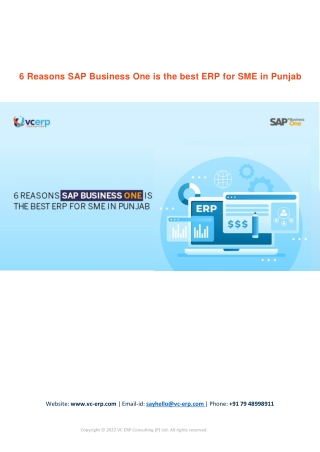 6 Reasons SAP Business One is the best ERP for SME in Punjab