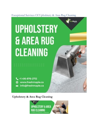 Exceptional Services Of Upholstery & Area Rug Cleaning